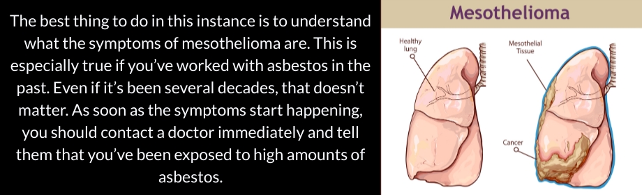 Mesothelioma and Asbestos