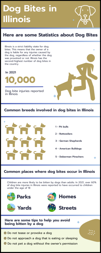 Chicago dog bites